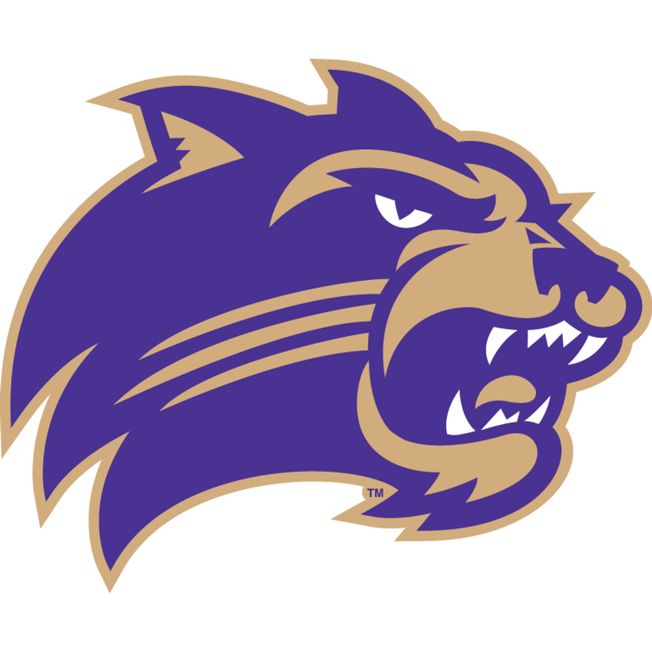 Western Carolina Catamounts Western Carolina Catamounts